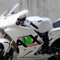 AMX MINI MOTO GP