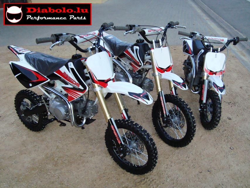 PIT BIKE BASTOS BS CRF