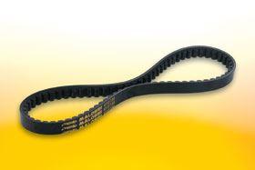 courroie variation malossi