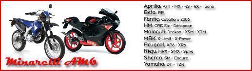 vers allumage mécaboite moteur minarelli am6