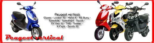 Vers boîte à clapets scooter Peugeot moteur vertical